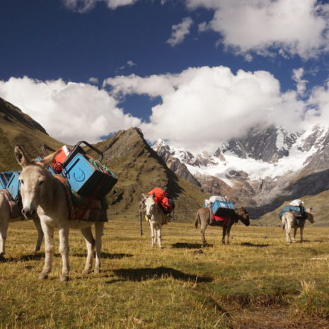 00_trek-Huayhuash_peru_ranusovci-1