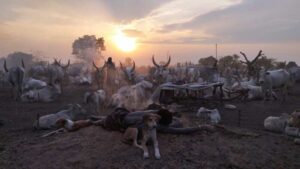 Matej Peluha - Zakázaný Kordofán (Sudán a Južný Sudán)